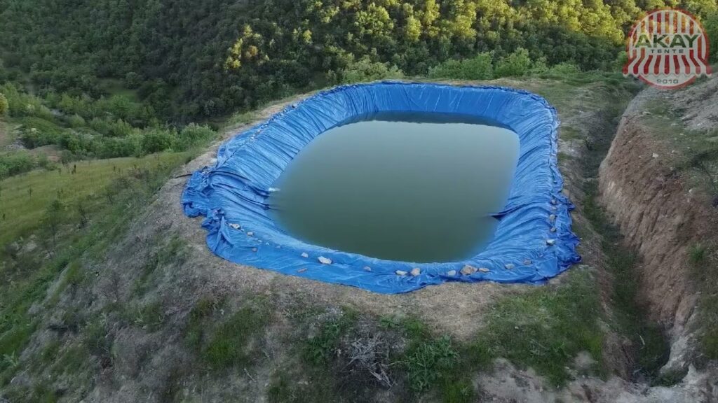 650 Gram Gölet Brandası Fiyatı